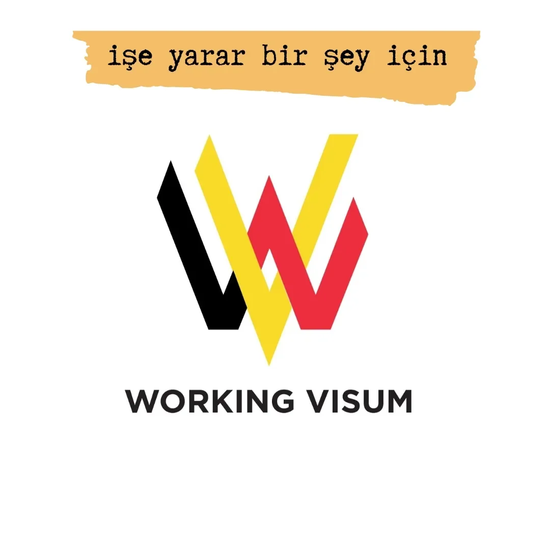 Vize Danışmanı